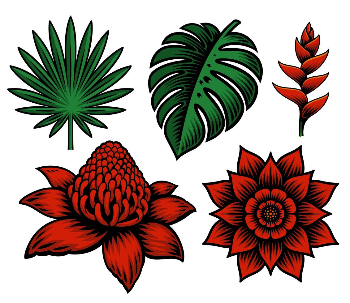 een set van tropische bloemen en planten vector