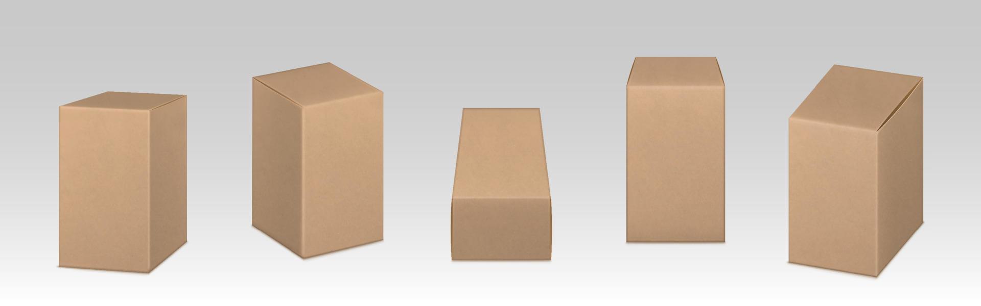 doos model, ambacht eco pakket, bruin containers vector