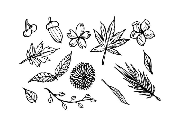 Gratis Floral Sketch Icon Vector