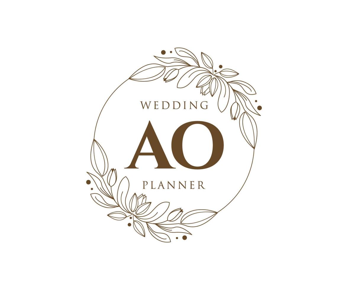 oa initialen brief bruiloft monogram logos verzameling, hand- getrokken modern minimalistisch en bloemen Sjablonen voor uitnodiging kaarten, opslaan de datum, elegant identiteit voor restaurant, boetiek, cafe in vector