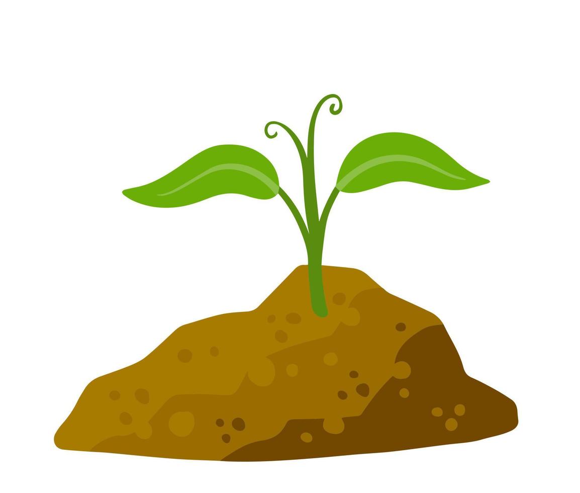 spruit van fabriek in grond. groen bladeren van jong zaailingen in bodem. vlak tekenfilm illustratie vector