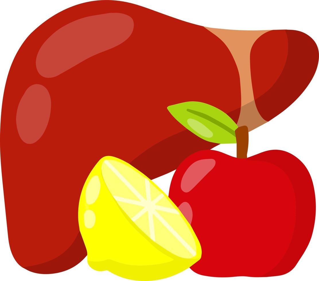gezond lever. appel en citroen. mooi zo voeding en eetpatroon. tekenfilm vlak illustratie. vector