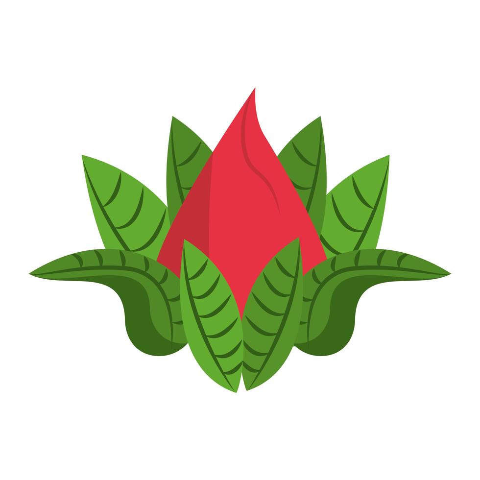 lotusbloem met bladeren symbool geïsoleerd vector