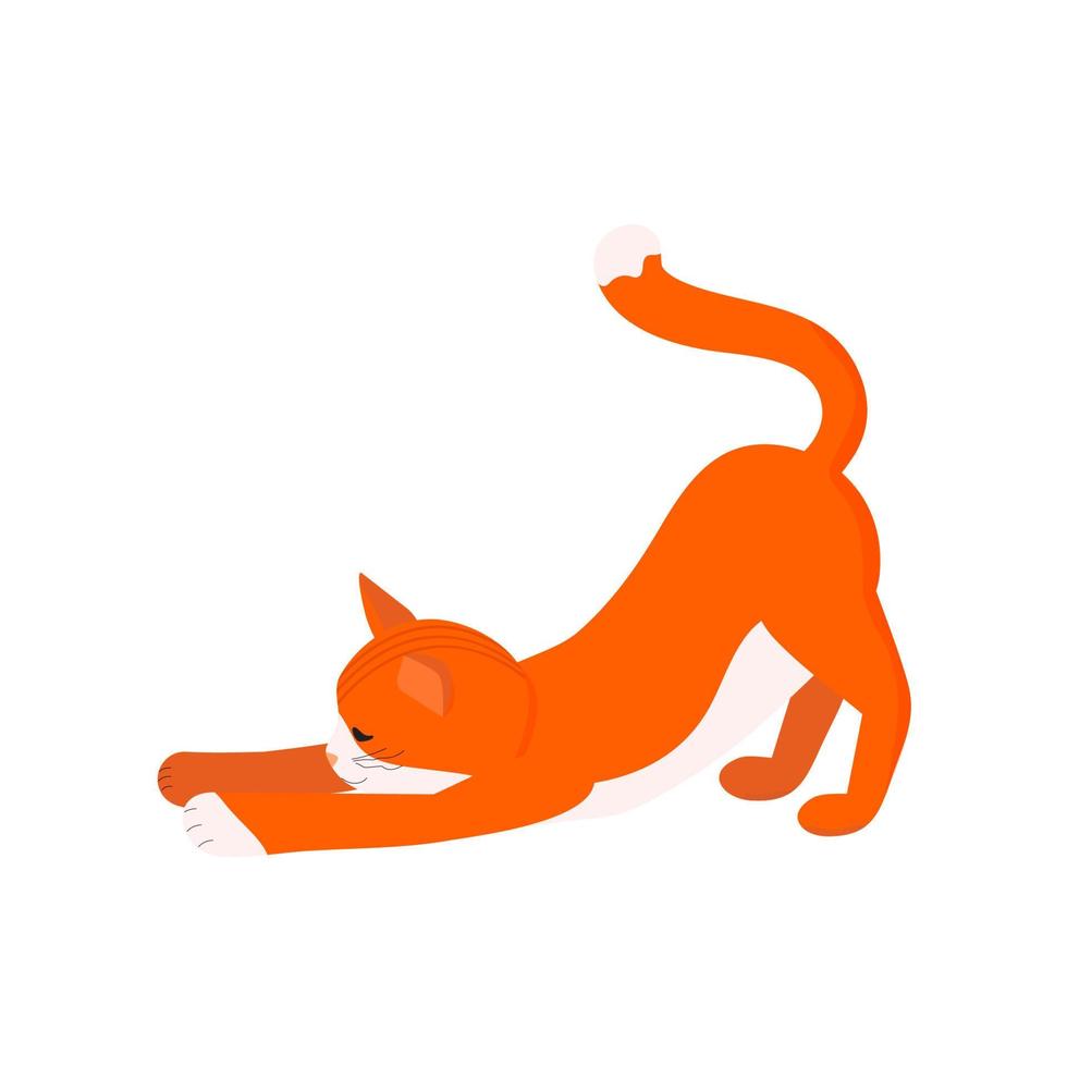 rood kat is nippen. gember kat geïsoleerd Aan de wit achtergrond. vector illustratie