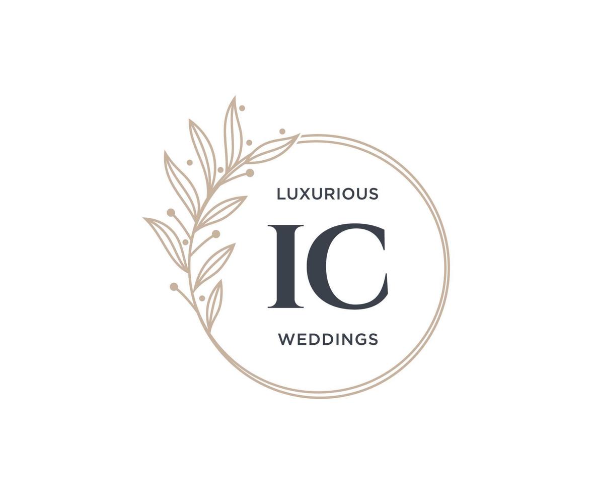ic initialen brief bruiloft monogram logos sjabloon, hand- getrokken modern minimalistisch en bloemen Sjablonen voor uitnodiging kaarten, opslaan de datum, elegant identiteit. vector