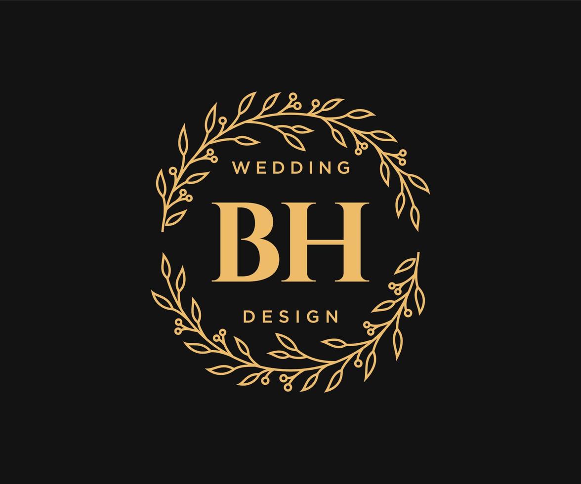 bh initialen brief bruiloft monogram logos verzameling, hand- getrokken modern minimalistisch en bloemen Sjablonen voor uitnodiging kaarten, opslaan de datum, elegant identiteit voor restaurant, boetiek, cafe in vector