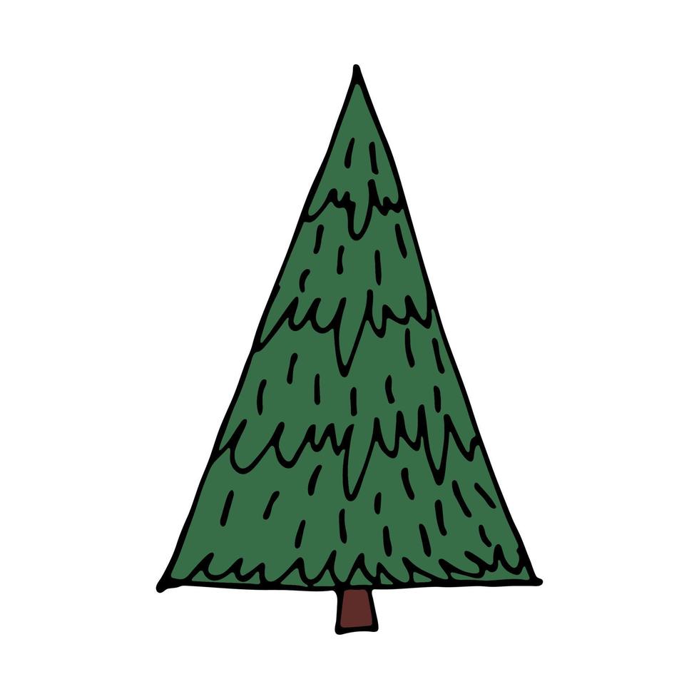 Kerstmis boom hand- getrokken clip art. net tekening. single element voor kaart, afdrukken, web, ontwerp, decor vector