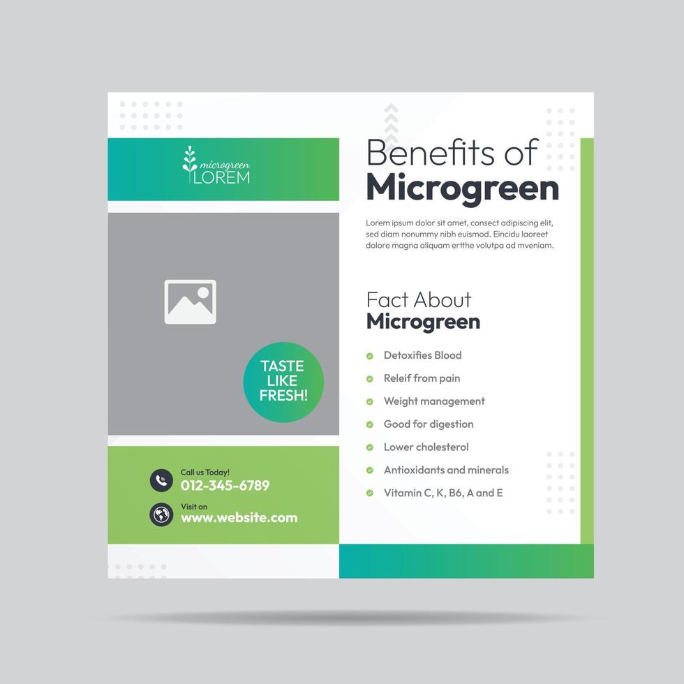 microgroen voordeel sociaal media post ontwerp en microgroen plantage bedrijf banier sjabloon vector