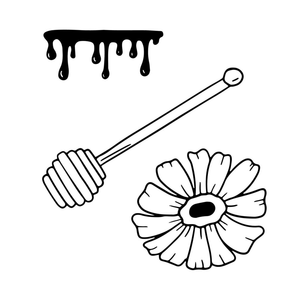 houten lepel, bloem en honing druppels. hand- getrokken lijn tekening pictogrammen. schets schetsen geïsoleerd Aan wit vector