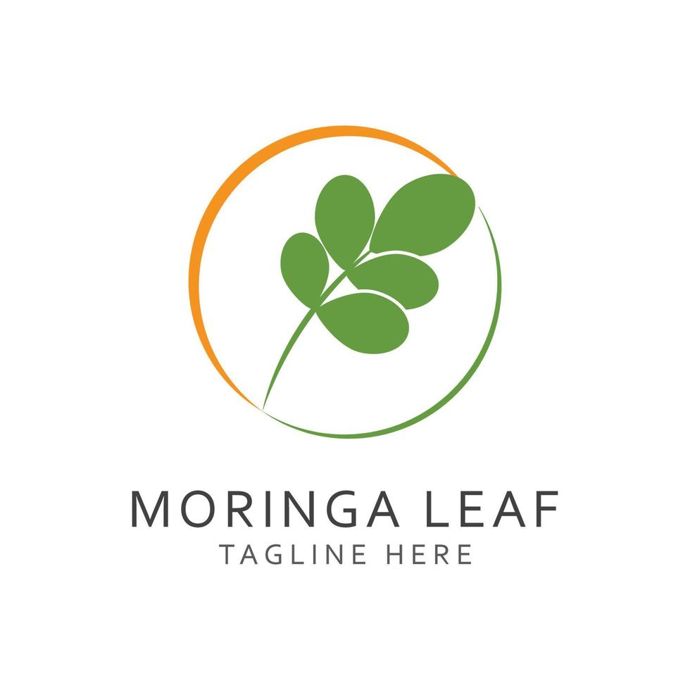 moringa blad logo sjabloon vector symbool natuur