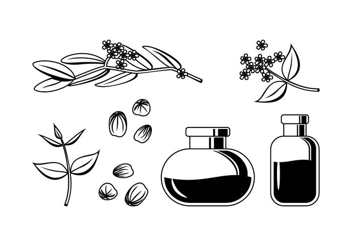 Hand getekende Jojoba Oil Free Vector