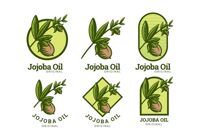 Jojoba Oil Logo Gratis Vector