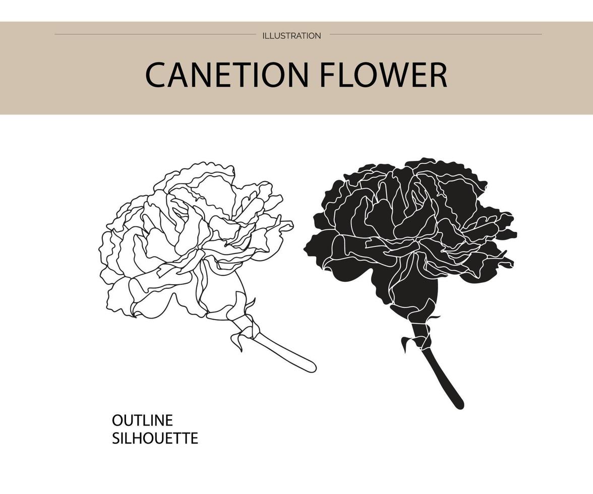 canetie bloem silhouet vector