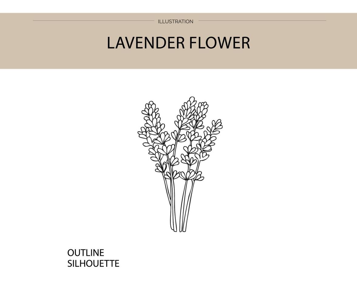 lavendel bloem silhouet vector