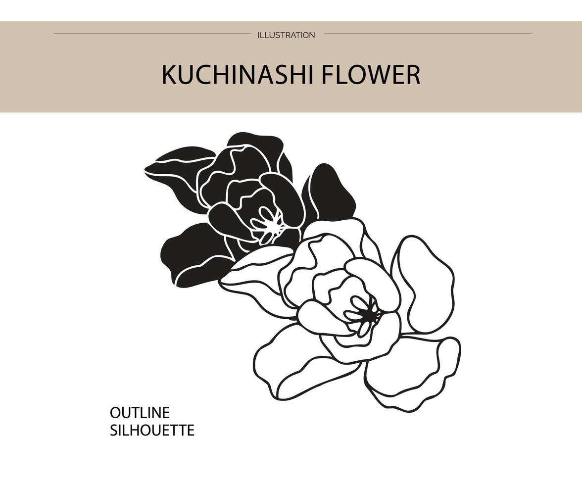 koechinashi bloem silhouet vector