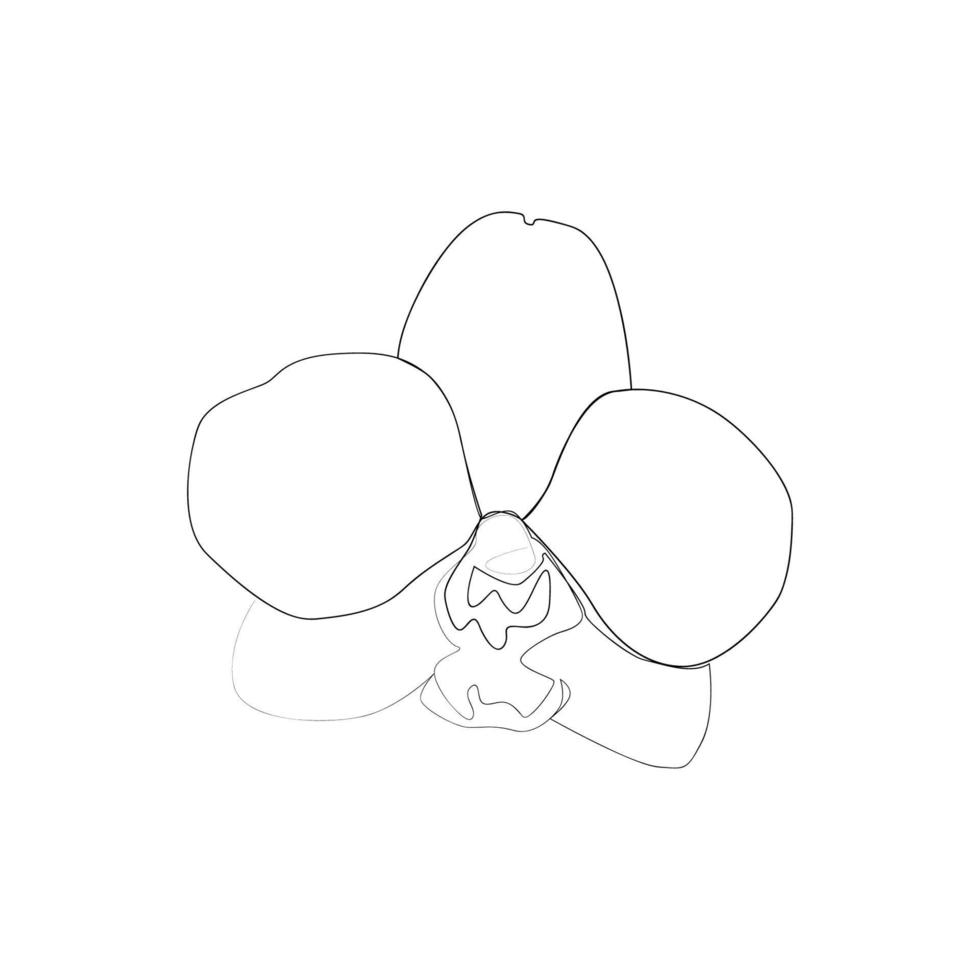 doorlopend lijn tekening van mooi bloemen vector