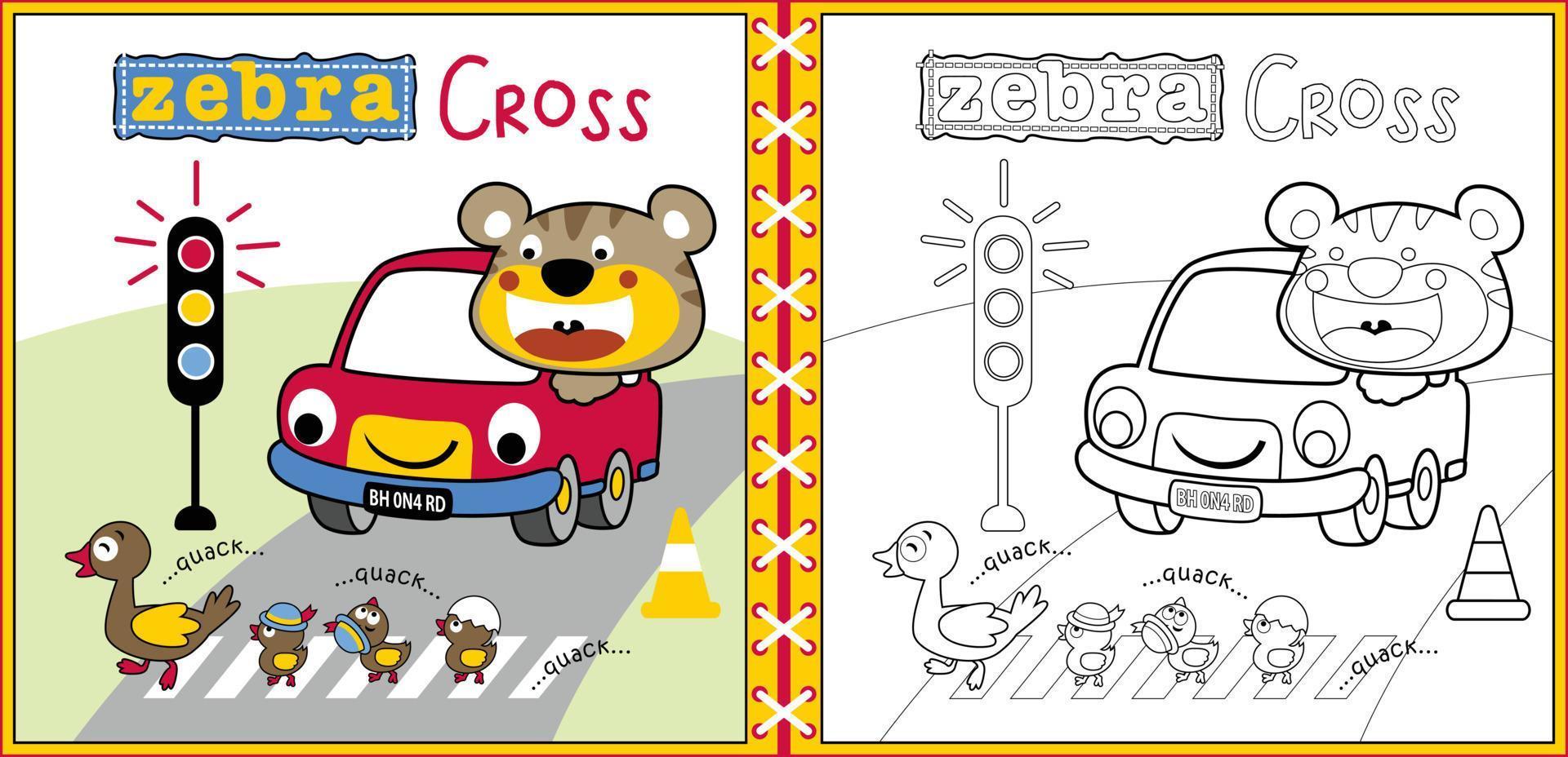 vector tekenfilm van eend familie kruis weg, schattig kat Aan auto, verkeer elementen, kleur bladzijde of boek