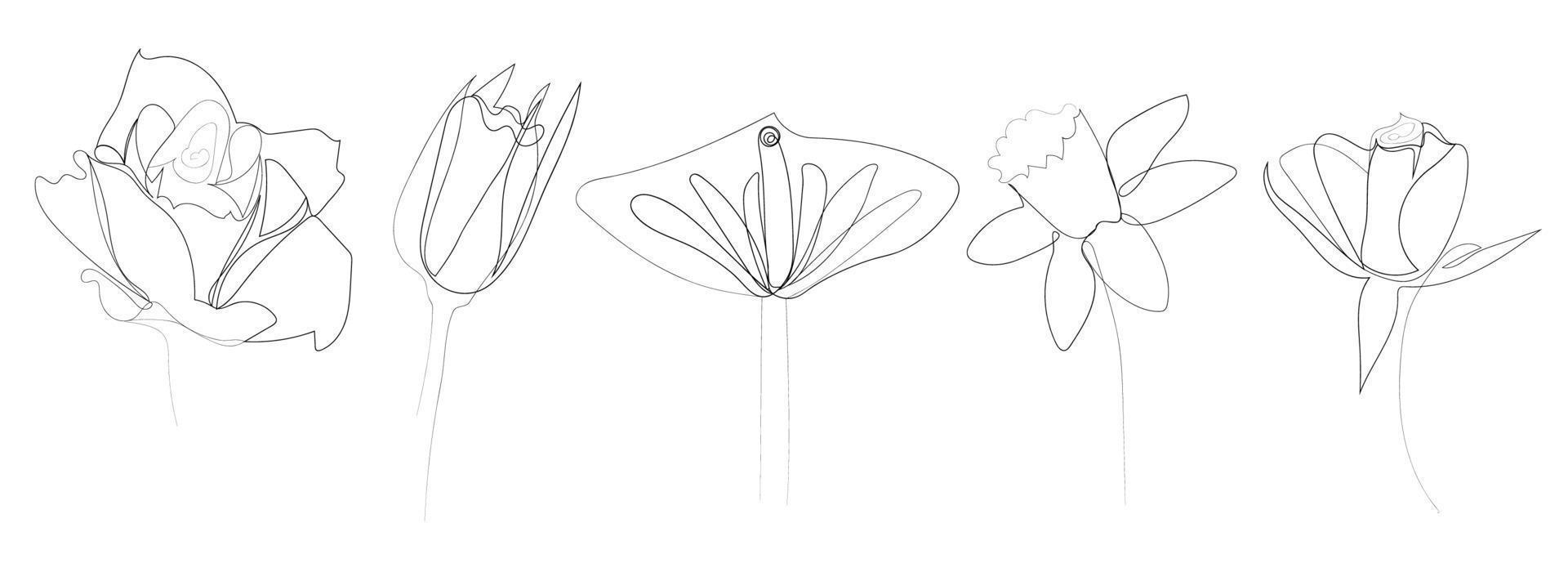 doorlopend lijn tekening van mooi bloemen vector