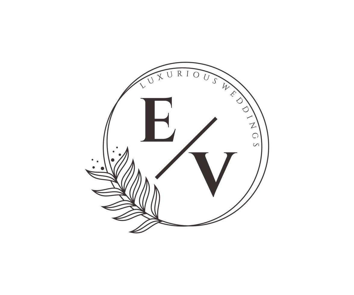 ev initialen brief bruiloft monogram logos sjabloon, hand- getrokken modern minimalistisch en bloemen Sjablonen voor uitnodiging kaarten, opslaan de datum, elegant identiteit. vector