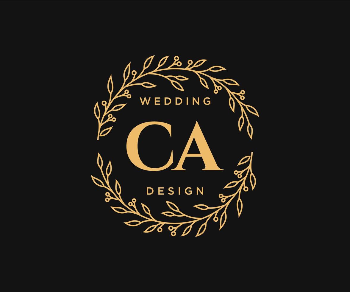 ca initialen brief bruiloft monogram logos verzameling, hand- getrokken modern minimalistisch en bloemen Sjablonen voor uitnodiging kaarten, opslaan de datum, elegant identiteit voor restaurant, boetiek, cafe in vector