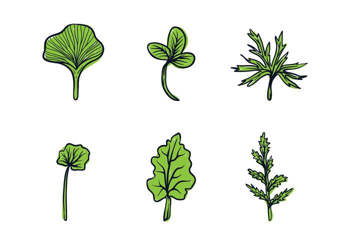 Herbal Leaves Illustratie vector