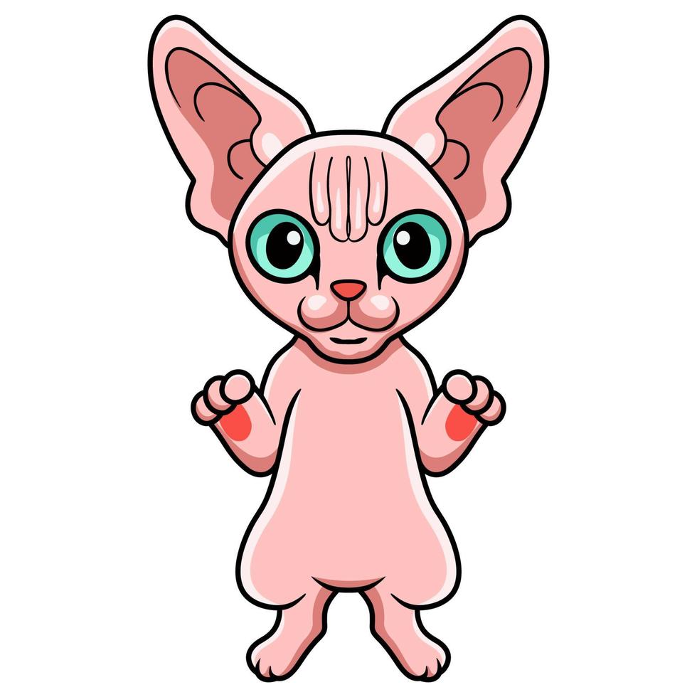 schattig sphynx kat tekenfilm staand vector