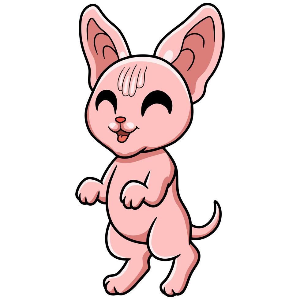 schattig sphynx kat tekenfilm staand vector