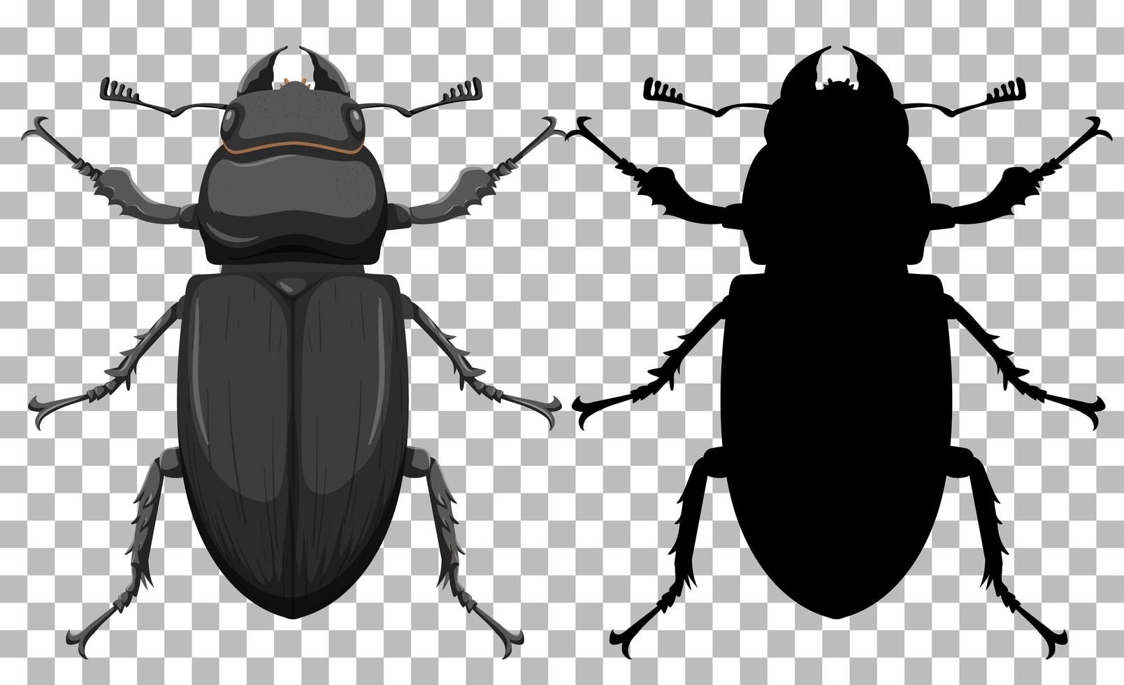 kever op transparante achtergrond vector