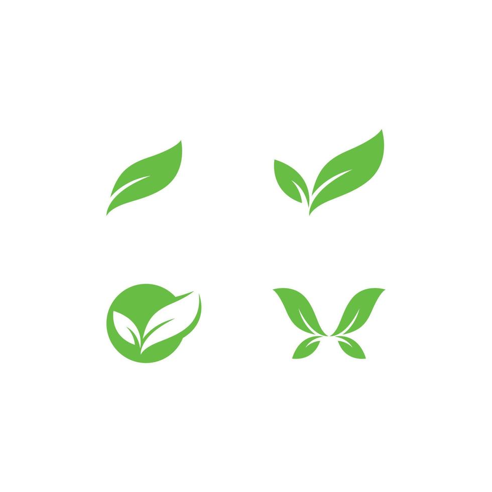 eco boom blad logo sjabloon vector