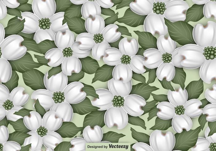 Vector Naadloos Patroon Van Dogwood Blossom Motief