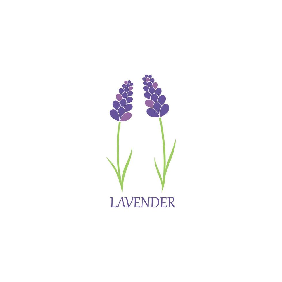 lavendel bloemen aromatisch logo vector icoon illustratie