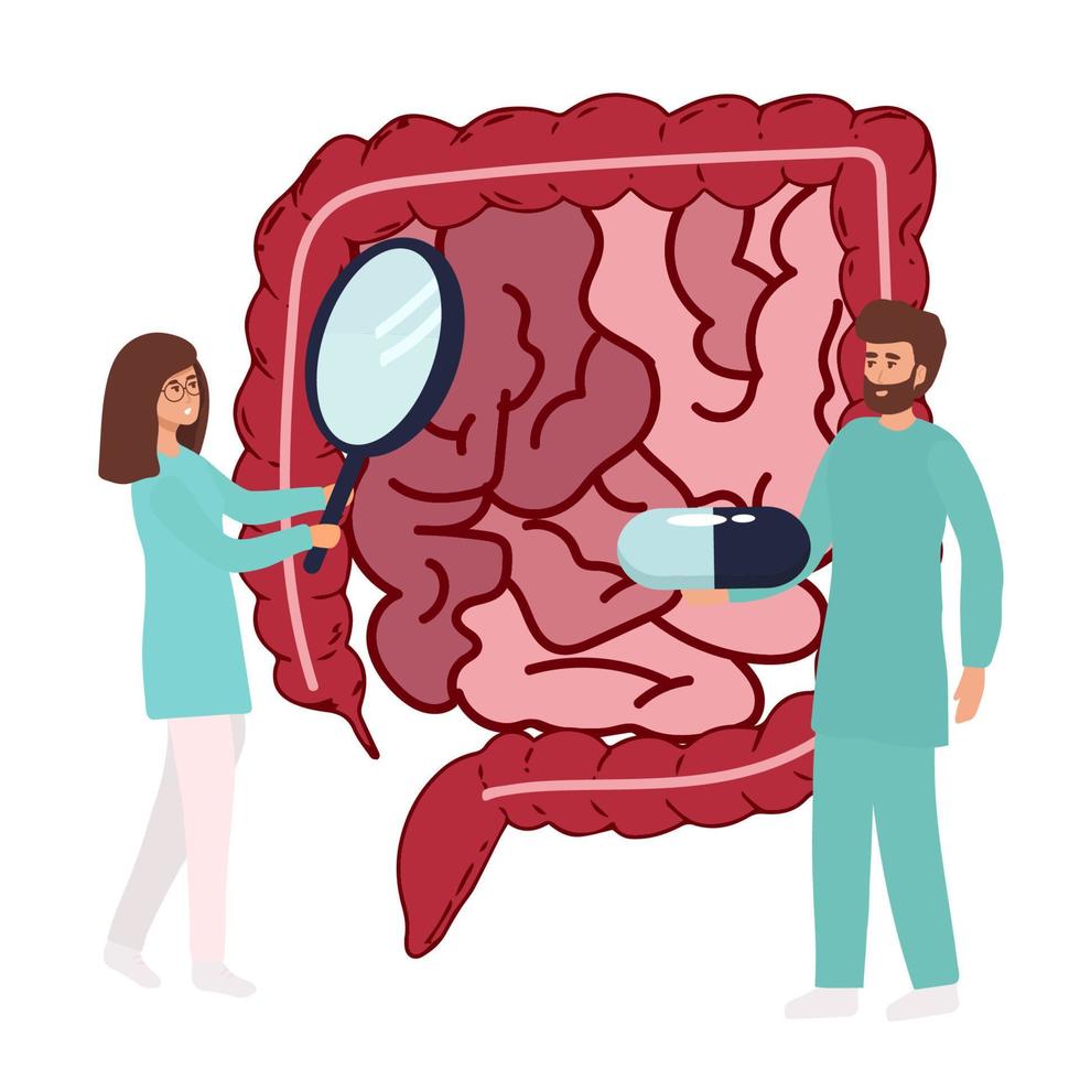 darm orgaan medisch controle, Gezondheid darm en spijsvertering. dokter onderzoeken gastro-intestinaal traktaat. medisch darm ziekte behandeling. vector illustratie