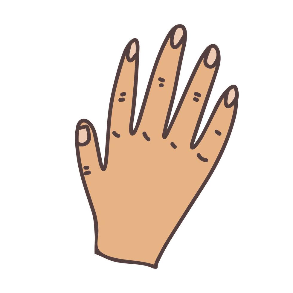 palm, hand- icoon vector, gevulde vlak teken, solide pictogram geïsoleerd Aan wit, logo illustratie vector