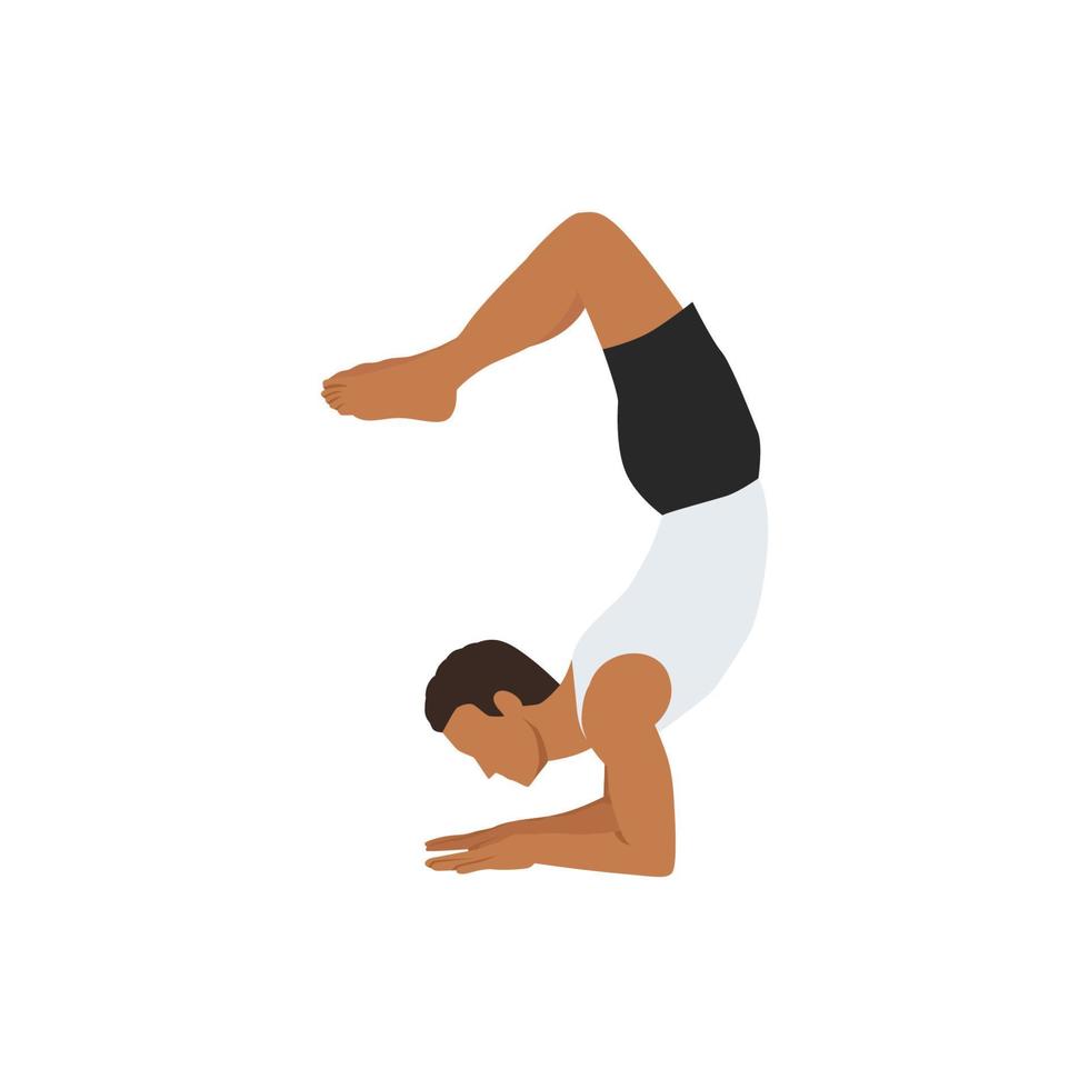 Mens aan het doen schorpioen houding. mooi meisje praktijk vrschikasana. vlak vector illustratie geïsoleerd Aan wit achtergrond