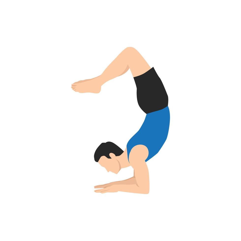 Mens aan het doen schorpioen houding. mooi meisje praktijk vrschikasana. vlak vector illustratie geïsoleerd Aan wit achtergrond