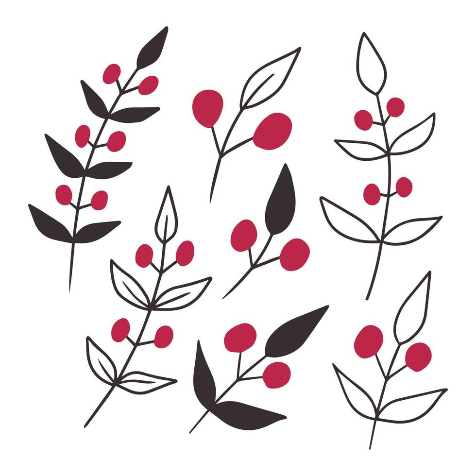 hand- getrokken vector winter bloemen elementen. winter takken en bladeren. hand- getrokken bloemen elementen. magenta kleur. wijnoogst botanisch illustraties.