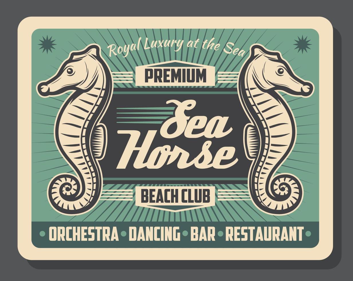 zee paard strand club retro poster vector