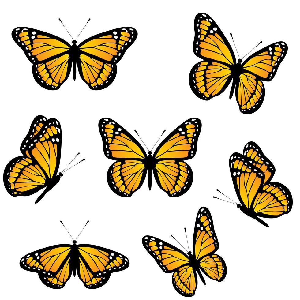 reeks van monarch vlinders geïsoleerd Aan wit achtergrond. realistisch vector illustratie