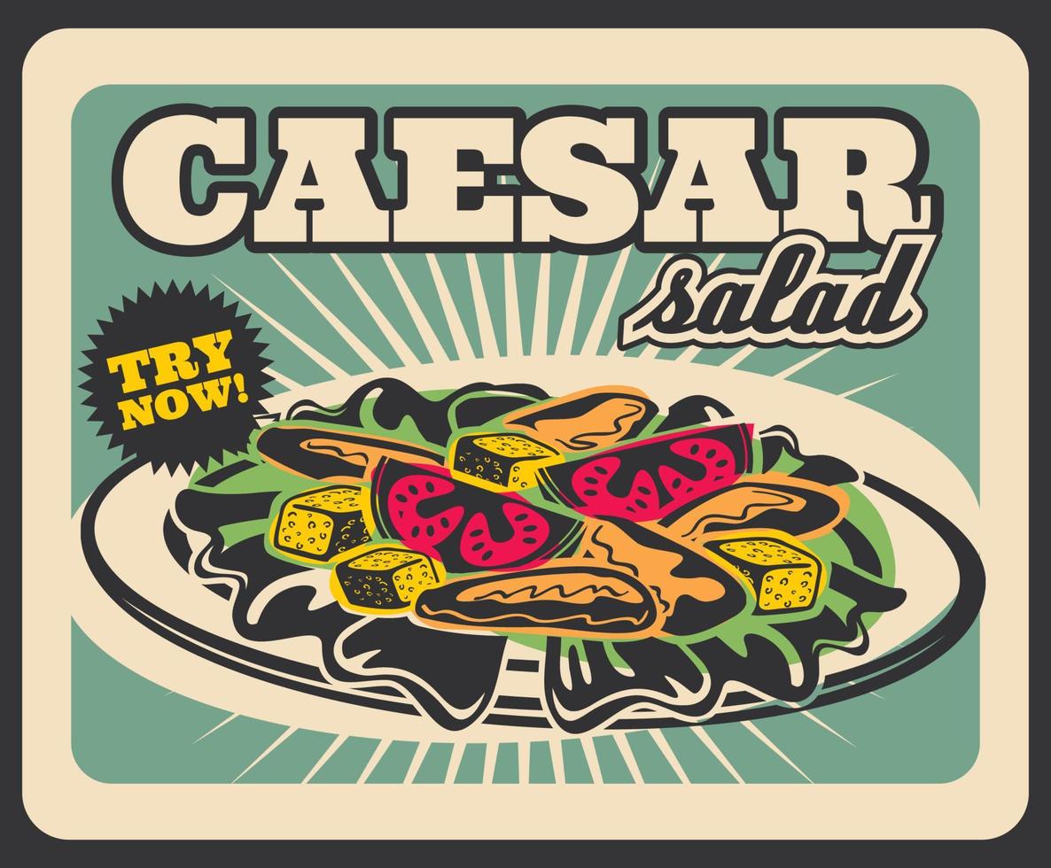 Caesar salade Fast food restaurant menu retro poster vector