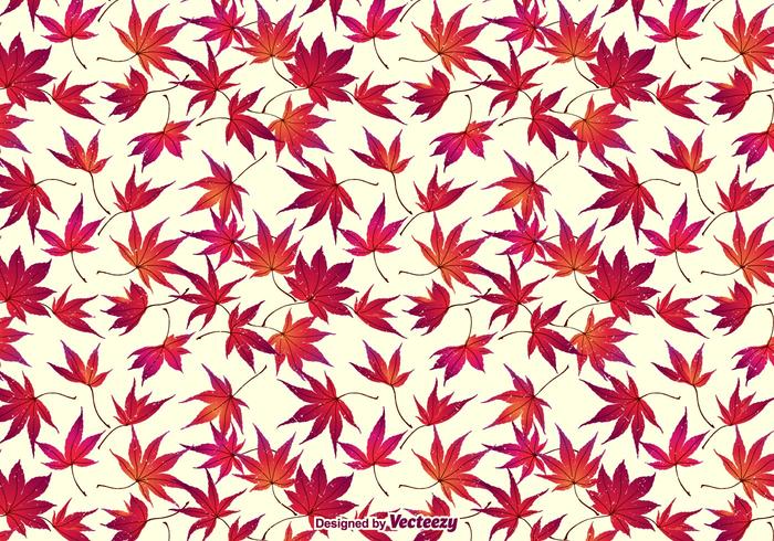 Herfst Japanse Esdoorn Bladeren Achtergrond vector