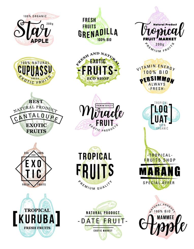 exotisch fruit boerderij markt vector schetsen belettering