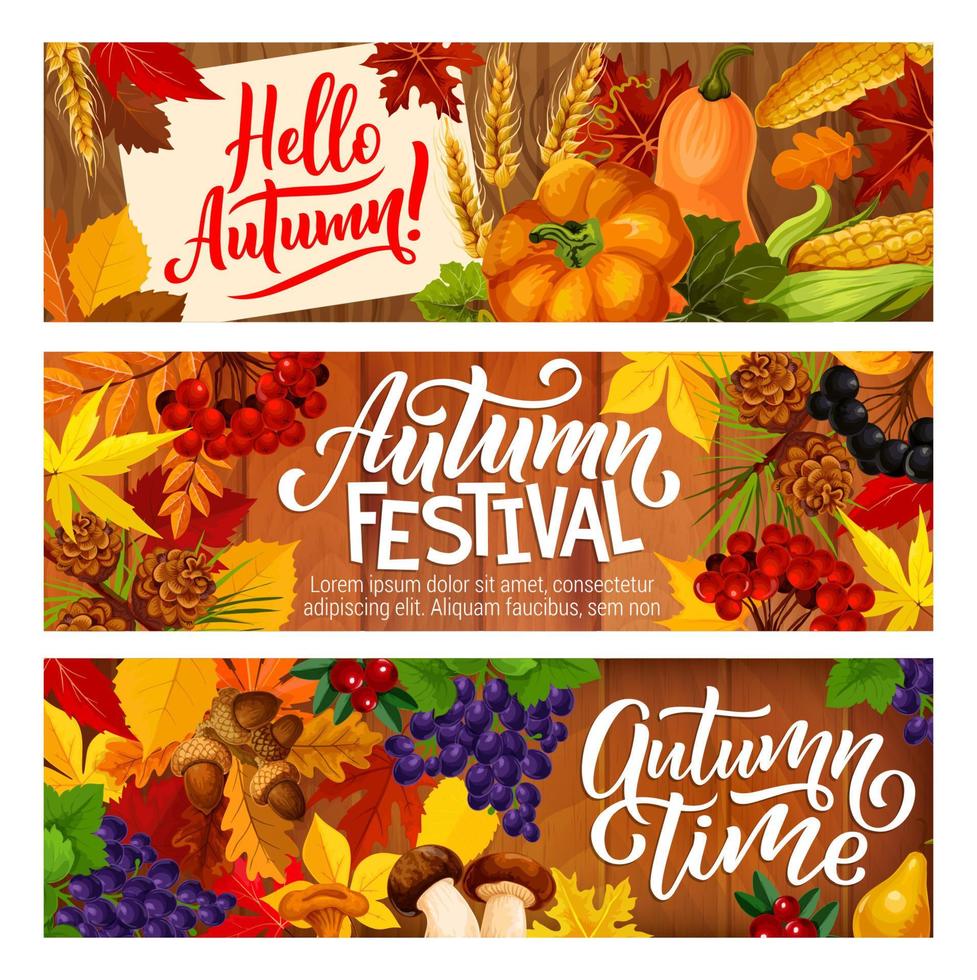 herfst festival groente, BES oogst banners vector