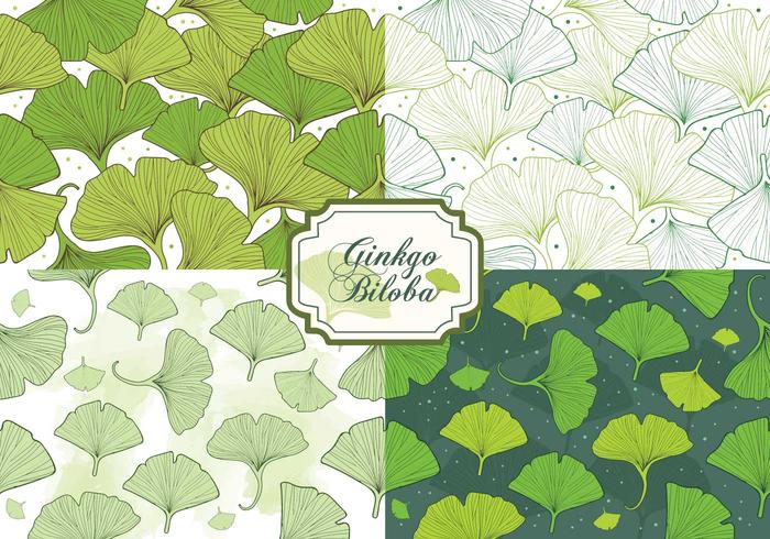 Set Ginkgo Biloba Naadloos Patroon vector