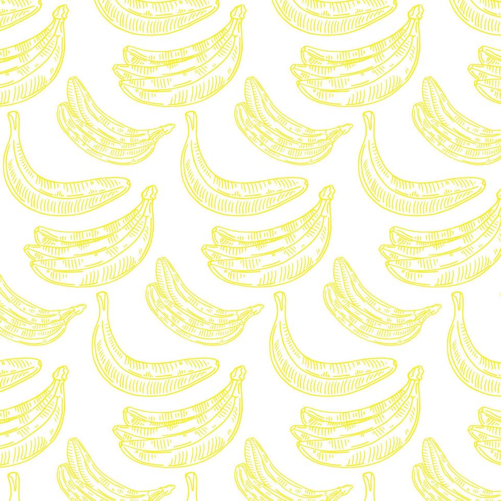 banaan fruit patroon Aan een wit achtergrond. vers banaan icoon vector illustratie