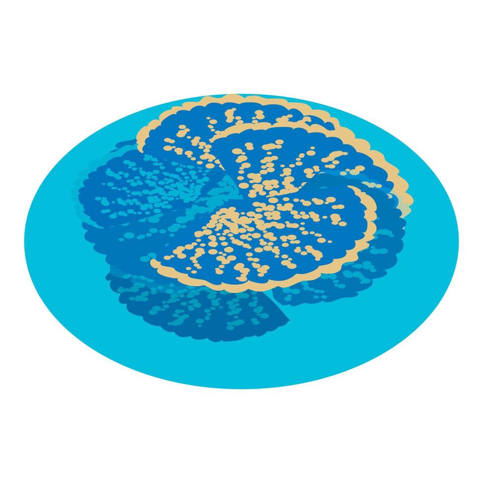 blauw koraal icoon isometrische vector. helder blauw exotisch koraal in marinier water icoon vector