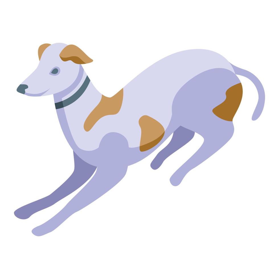sprint hond icoon isometrische vector. huisdier dier vector
