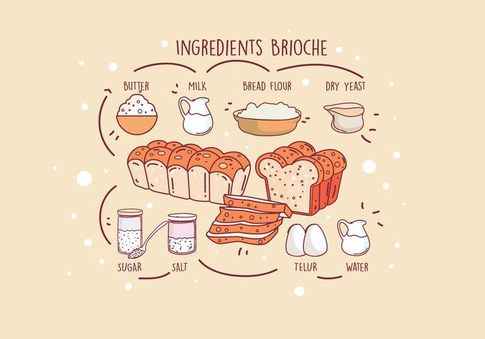 Ingrediënten Brioche Vector