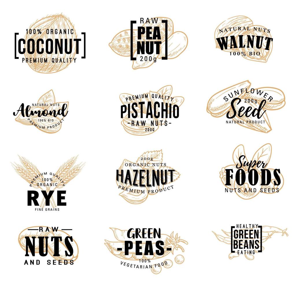 noten en fruit zaden vector schetsen belettering