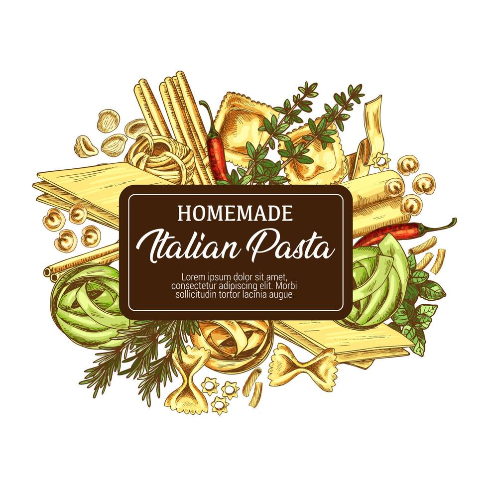 Italiaans pasta met kruiderijen icoon schetsen vector