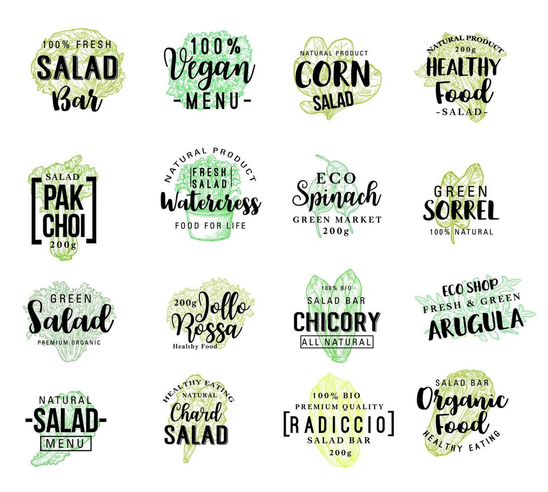 salades groenten vector schetsen belettering